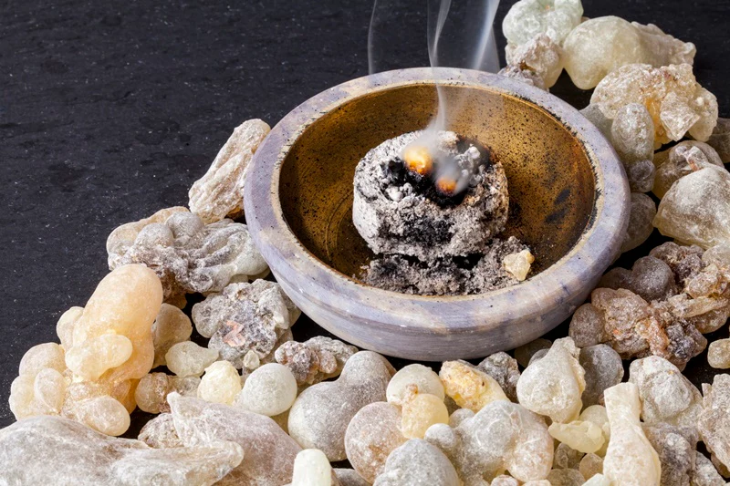 Tudo sobre o Frankincense